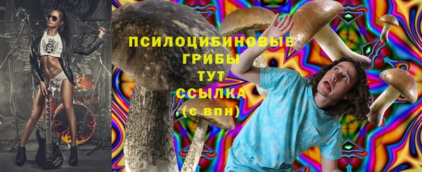 бутират Бугульма