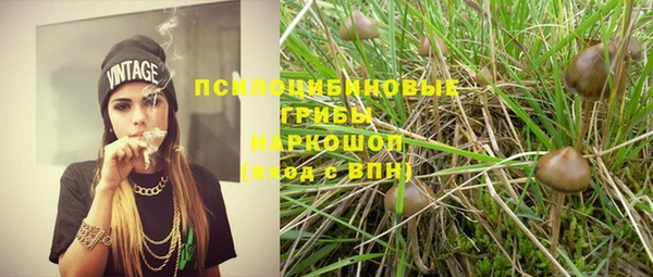 герыч Бородино