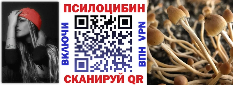 Псилоцибиновые грибы Psilocybine cubensis  где найти наркотики  Камешково 